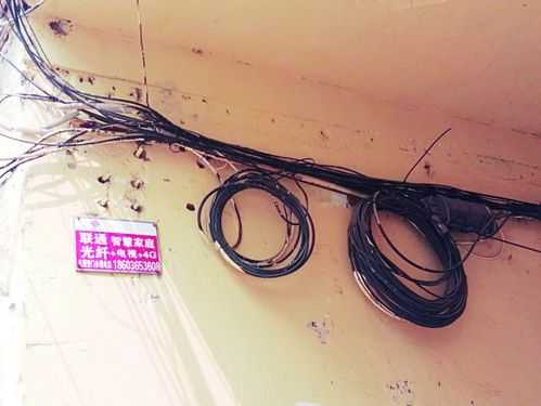 联通电缆光缆哪个快些（偷光缆和电缆哪个严重）