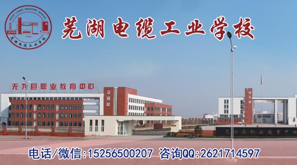 芜湖电缆工业学校视频（芜湖电缆工业学校报名时间）